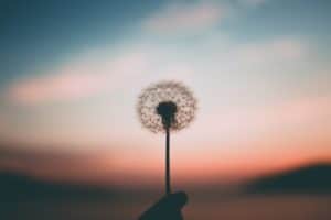 “The secret of health for both mind and body is not to mourn for the past, not to worry about the future, or not to anticipate troubles, but to live in the present moment wisely and earnestly.” – Buddha