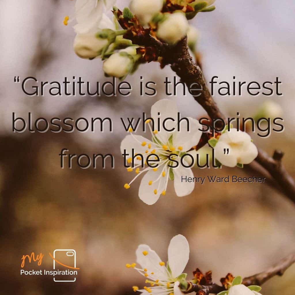 Celebrating World Gratitude Day