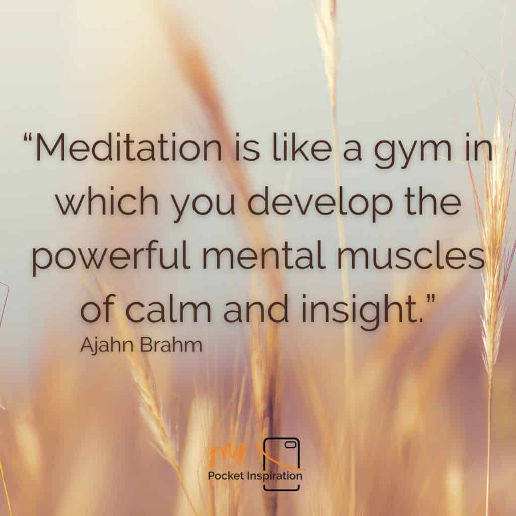 Read more about the article Wednesday Wellness Wisdom
