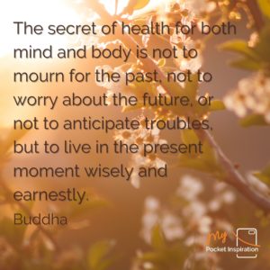 Your Wednesday Wellness Wisdoms