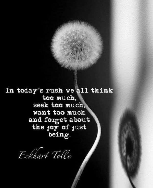 Read more about the article Daily Inspiration- 17 March