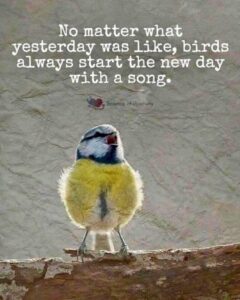 Read more about the article Daily Inspiration- Thursday 24 April