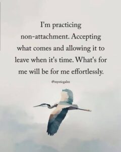 Read more about the article Daily Inspiration- Thursday 15 May