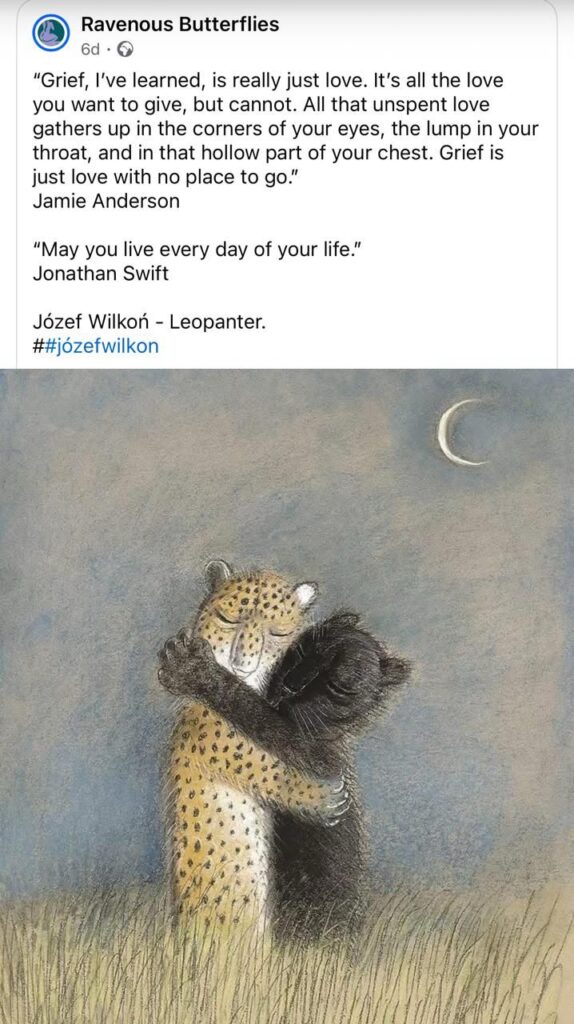 Read more about the article Daily Inspiration- Monday 30 June