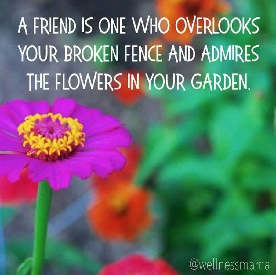 Read more about the article Daily Inspiration- Thursday 19 June