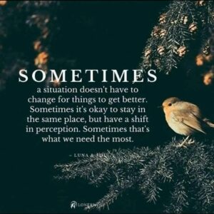 Read more about the article Daily Inspiration- Tuesday 22 July