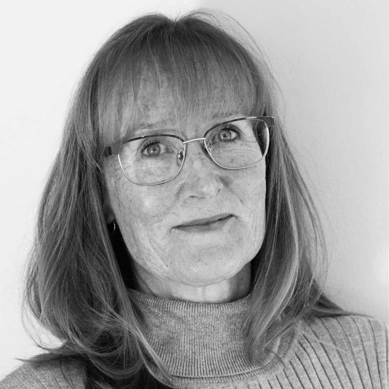 Read more about the article Sandra Pedegana